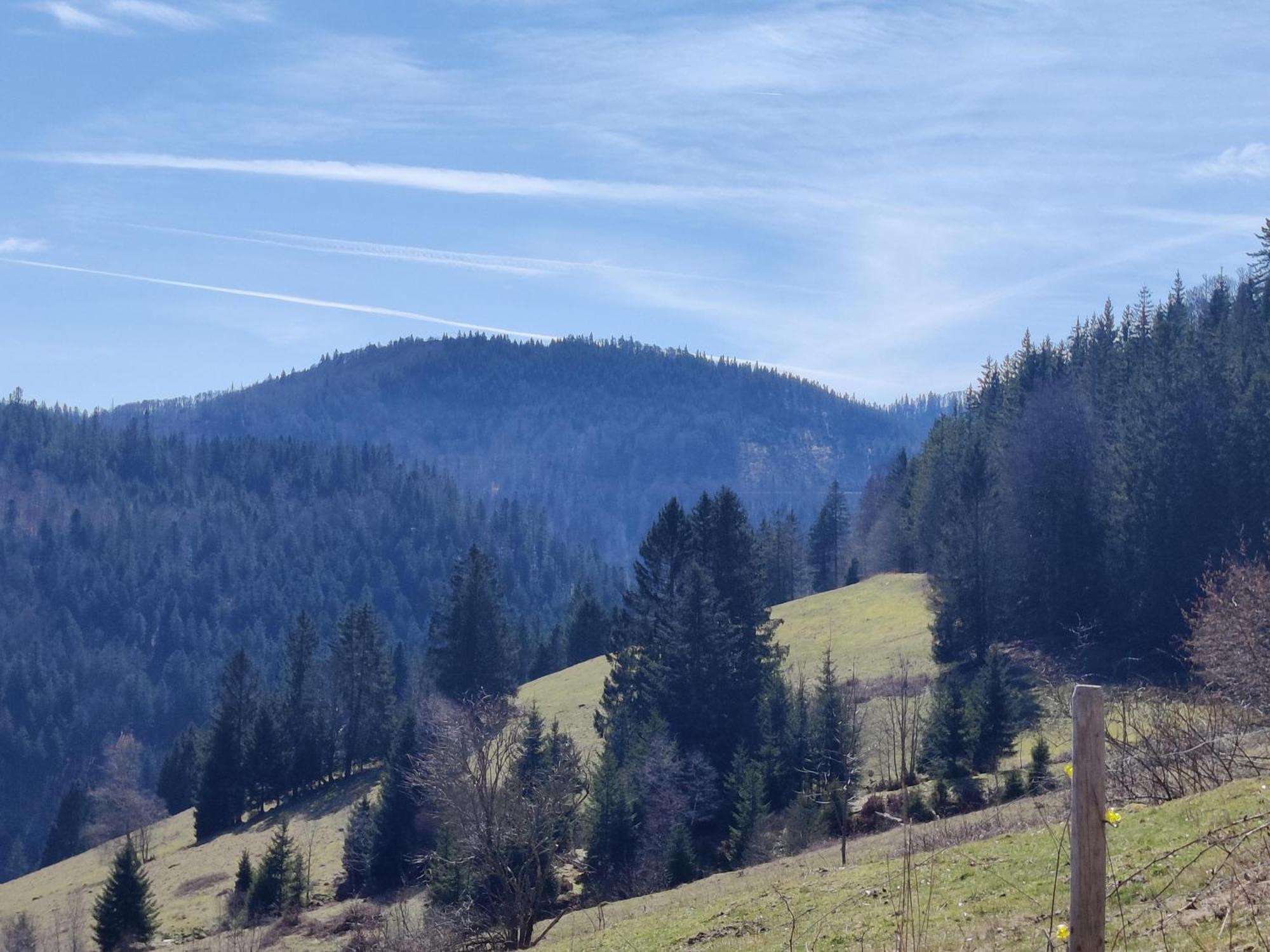 Berggasthaus Prager Boden Todtnau Exterior foto